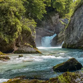 The mountain stream in Schlegeis meanders through stony terrain. The forest towers above it and the sun shines.